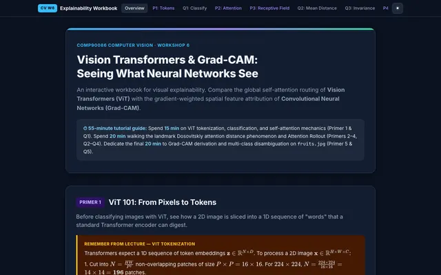 Preview of the Week 6 page: Vision Transformers and Grad-CAM