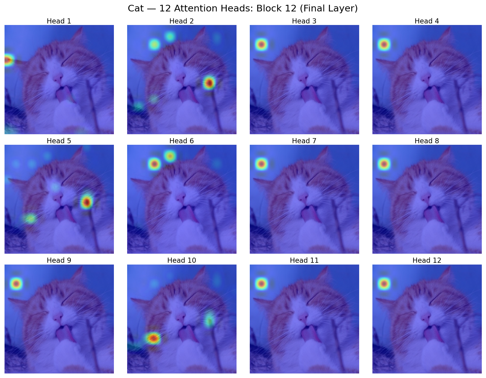 Multi-image 12 attention heads visualization