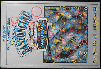 SIFT keypoints coloured by scale