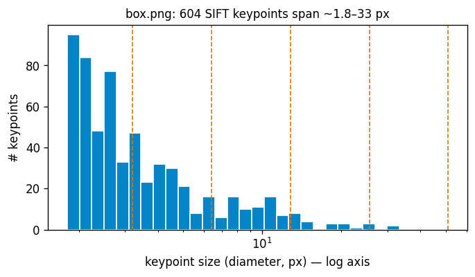 histogram of keypoint sizes