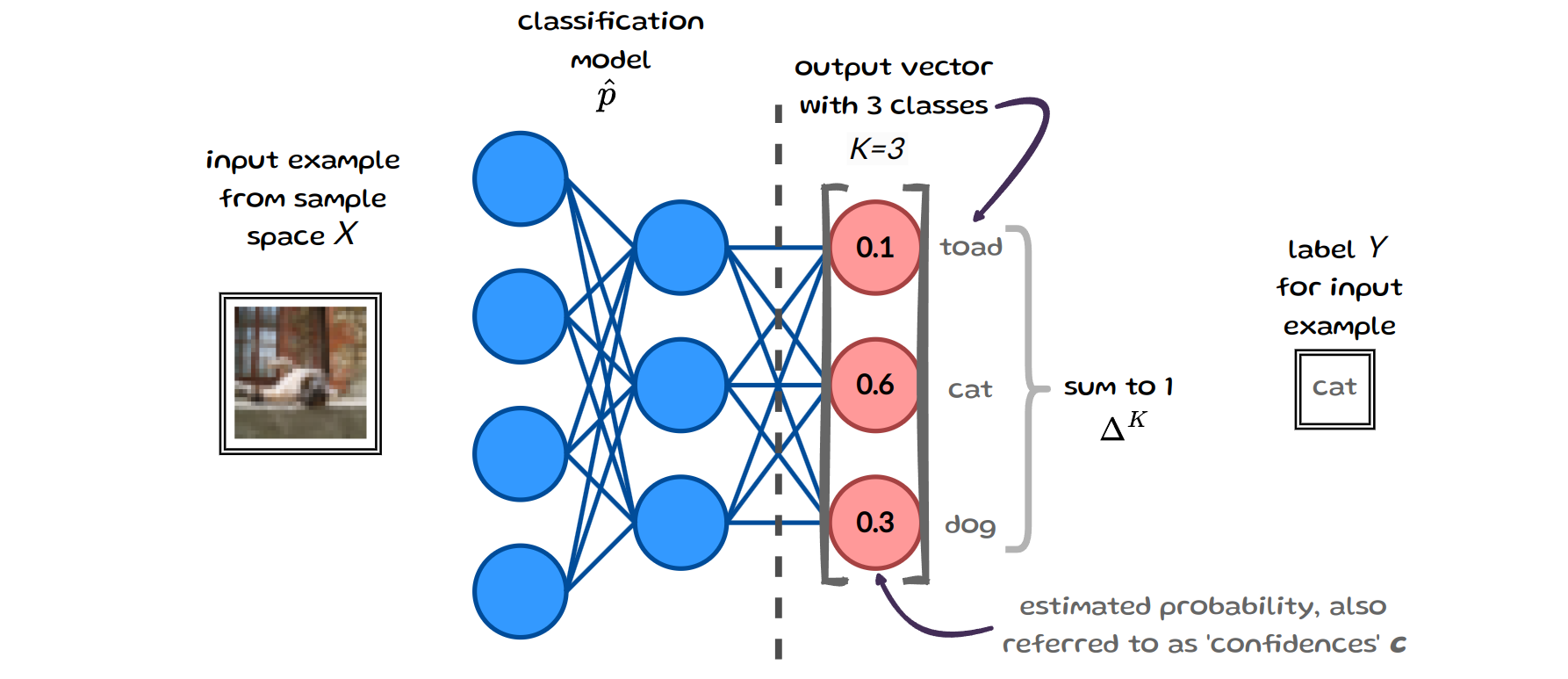 A classifier mapping an image to a probability vector over cat, dog, and toad